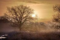 Een Winterse Zonsopgang op de hei met mist van Wesley Flaman thumbnail
