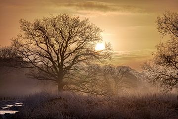Un lever de soleil d'hiver sur la lande avec du brouillard
