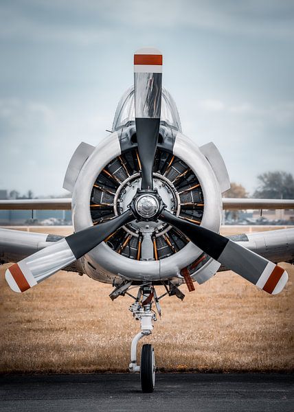 propeller by Frank Peters