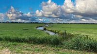 Weide landschap Noord-Holland van Digital Art Nederland thumbnail
