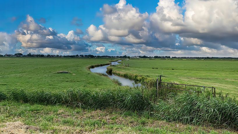 Wiesenlandschaft Nordholland von Digital Art Nederland