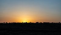 African Morning