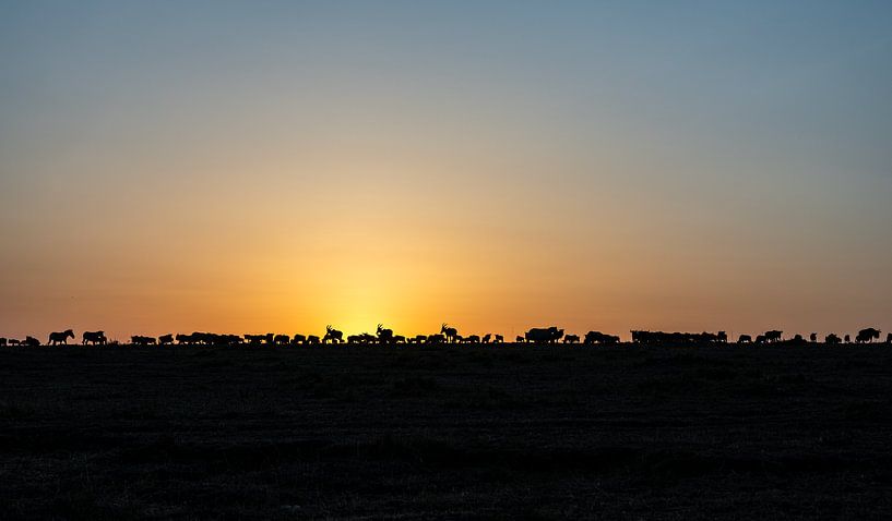 African Morning by Anne Böhle