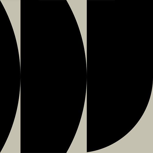 Zwarte Abstracte Geometrische Vormen nr. 4