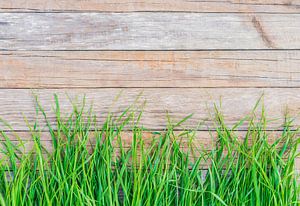 Bladen van gras op rustieke houten achtergrond met exemplaarruimte van Alex Winter