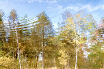 Weerspiegeling van bomen in herfst kleuren van Lisette Rijkers