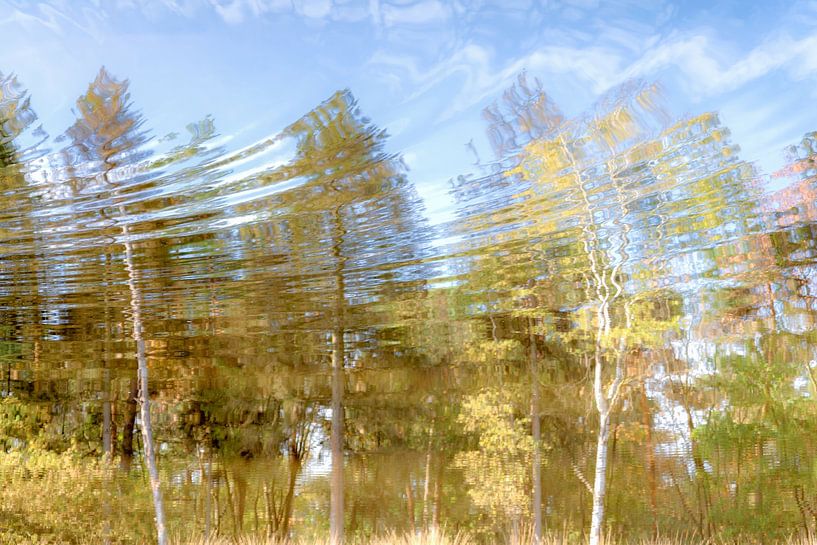 Reflection of trees in autumn colors by Lisette Rijkers