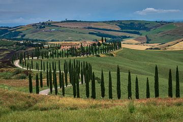 Landschap Toscane Italië van Mario Brussé Fotografie