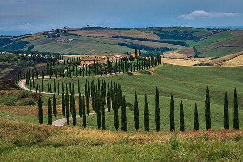 Landschap Toscane Italië