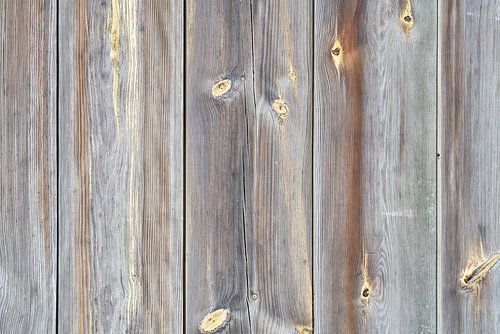 Clôture en planches