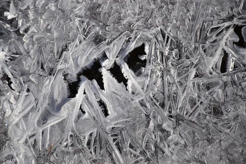 Vorst op een beek in de herfst