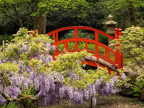Japanischer Garten III