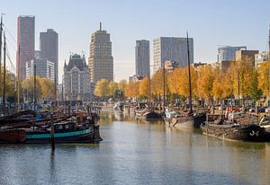 Rotterdam en automne sur Rick Keus