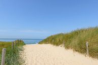 Path through the dunes towards the beach by Sjoerd van der Wal Photography thumbnail