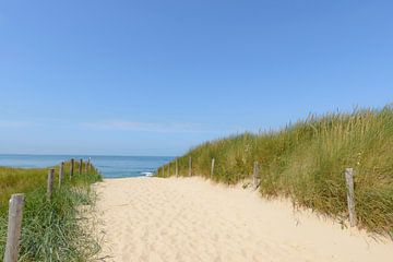 Sentier à travers les dunes vers la plage sur Sjoerd van der Wal Photographie