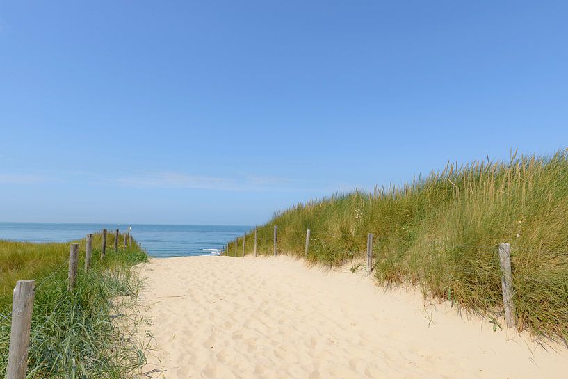 Sentier à travers les dunes vers la plage par Sjoerd van der Wal Photographie