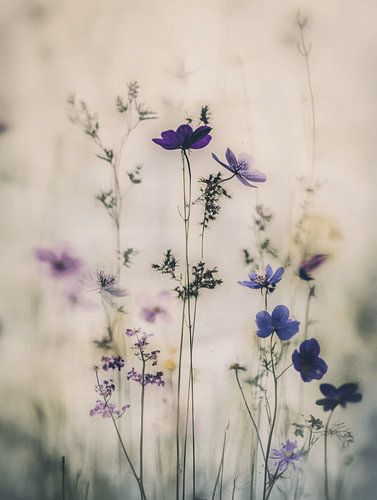 Paarse bloemen, sfeervol landschap