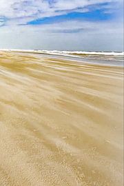 Hochgeschwindigkeits-Sanderschälen