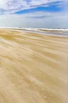 Terschelling de sable à grande vitesse sur Truckpowerr