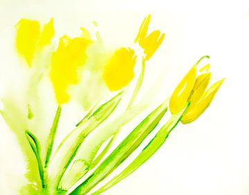 tulipes jaunes sur M.A. Ziehr