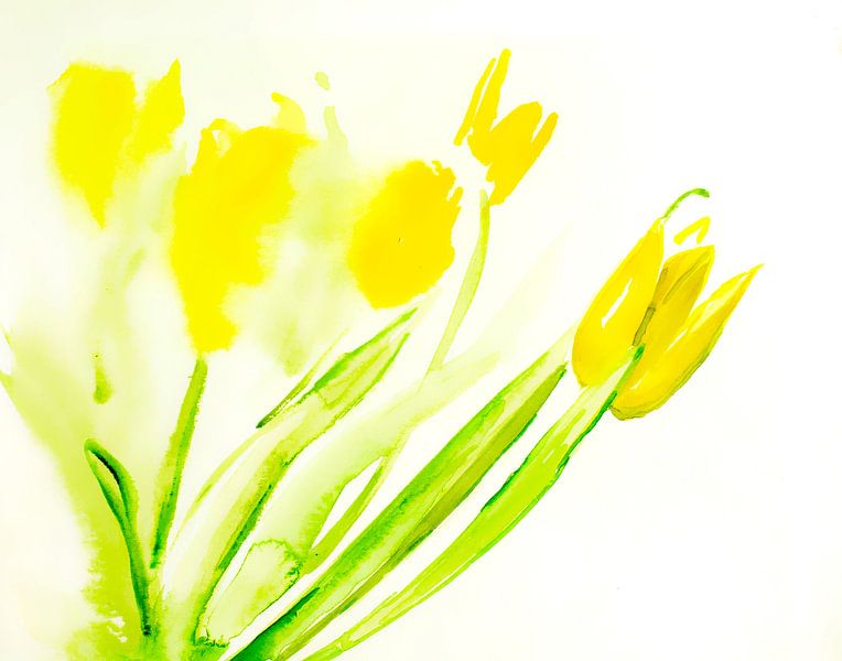 gele tulpen van M.A. Ziehr