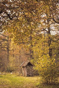 Herfst kleuren in het park rond kasteel Broekhuizen van Peter Haastrecht, van
