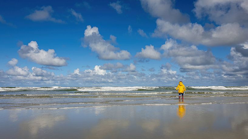 Uitzicht op Noordzee gezien vanaf strand Terschelling van Erwin Maassen van den Brink