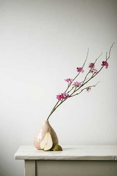 Nature's Candy van Linda Hutten