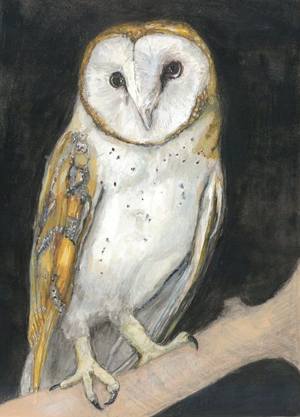 Barn owl by Tanja Koelemij