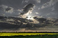 zon door wolkenlucht boven koolzaadveld 