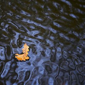 Blad drijft op water van Arjen van den Broek