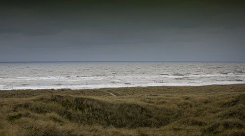 Kustlandschap