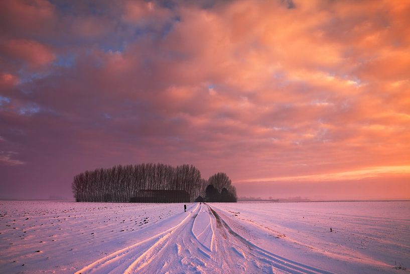 Sunrise Zeeland by Frank Peters