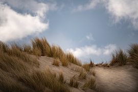 A day at the beach, the wind in your hair by Monique Van der Hul