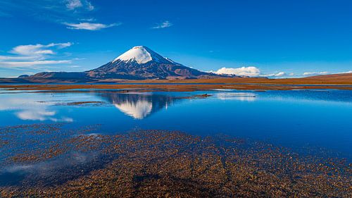 Parinacota vulkaan die perfect weerspiegelt in een meer