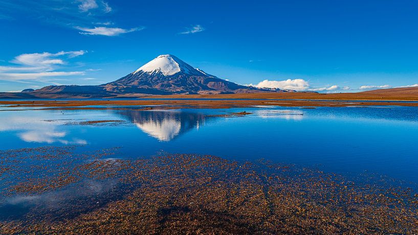 Eine Landschaft mit Vulkan perfekt reflektiert in einem See von Chris Stenger