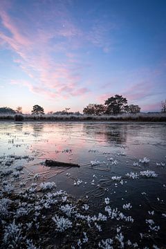 Patterns in the ice under a pink sky by Luc van der Krabben