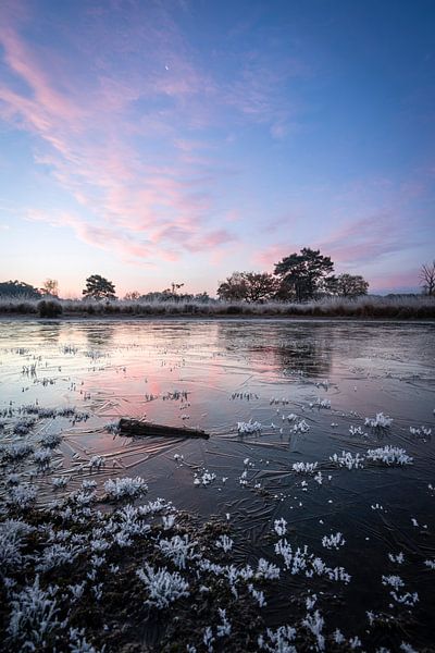 Motifs dans la glace sous un ciel rose par Luc van der Krabben