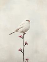 Wit vogeltje op een tak