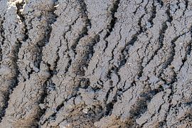 Structure abstraite de fond gris sur Mike Maes