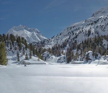 Wandelaars in het Orden dal bij Alp Cavloc, Maloja, Oberengadin, Zwitserland van Rene van der Meer