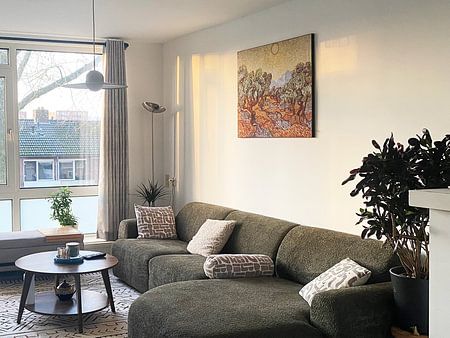 Vincent van Gogh. Olive trees