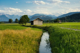 Weidelandschap in het Allgäu van Tobias Reißing