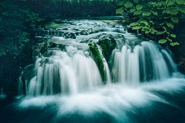 Paysage naturel avec cascade. Une rivière se jette en cascade dans une forêt verdoyante.