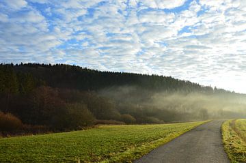 Romantic nature by Susanne Seidel