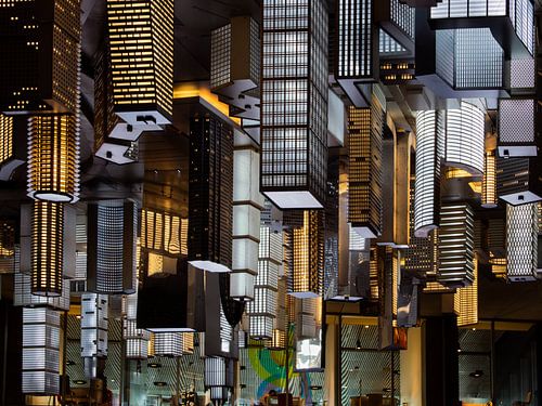 Magische Paddenstoelen