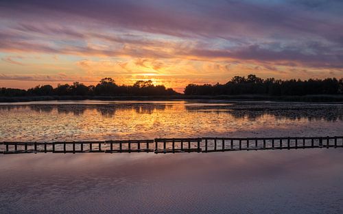 Ae's Woudbloem Groningen