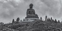 Hong Kong - Tian Tan Buddha - 3 van Tux Photography thumbnail