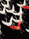 Furisode with a Myriad of Flying Cranes (1910–1920). by Studio POPPY thumbnail