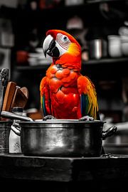Parrot kitchen by Poster Art Shop
